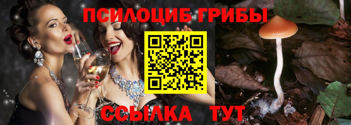 Галлюциногенные грибы Magic Shrooms  Вход с VPN  Кулебаки 
